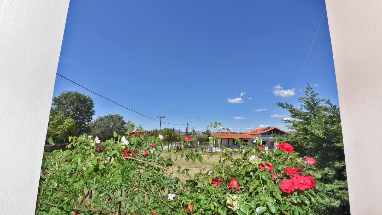Photo of Outdoor in Nea Playia