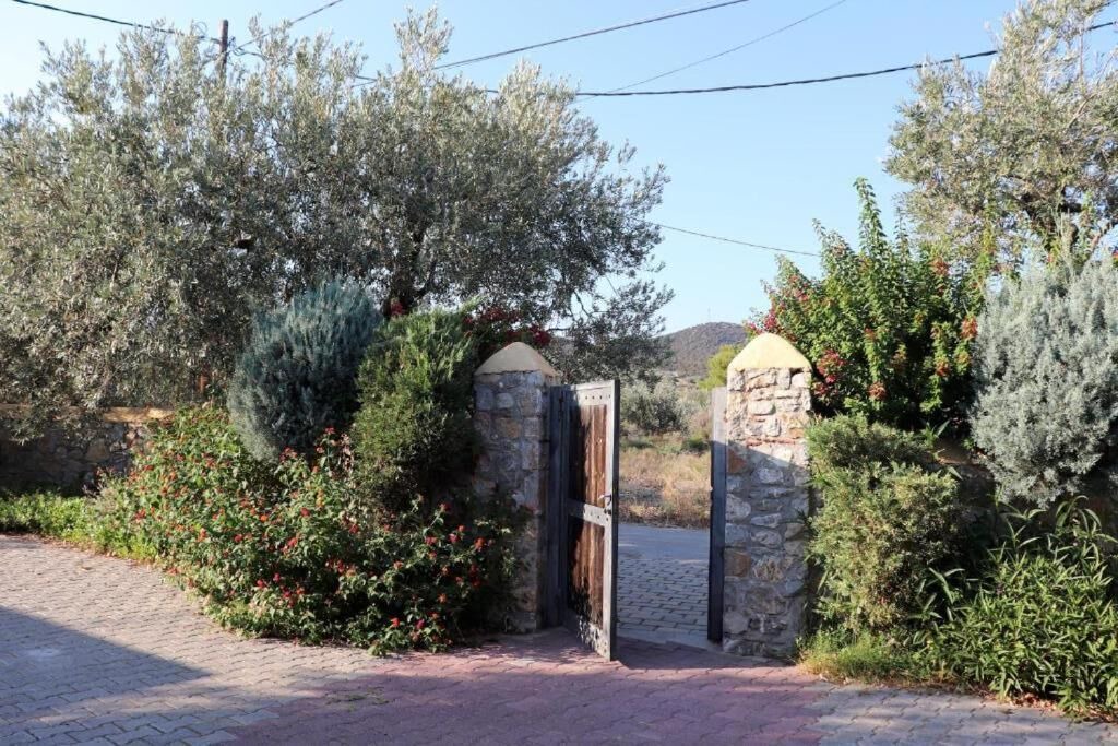 Photo of Outdoor in Plepi