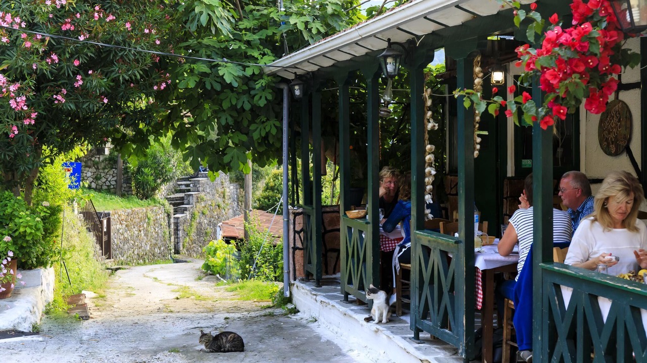 Photo of Others in Lygia