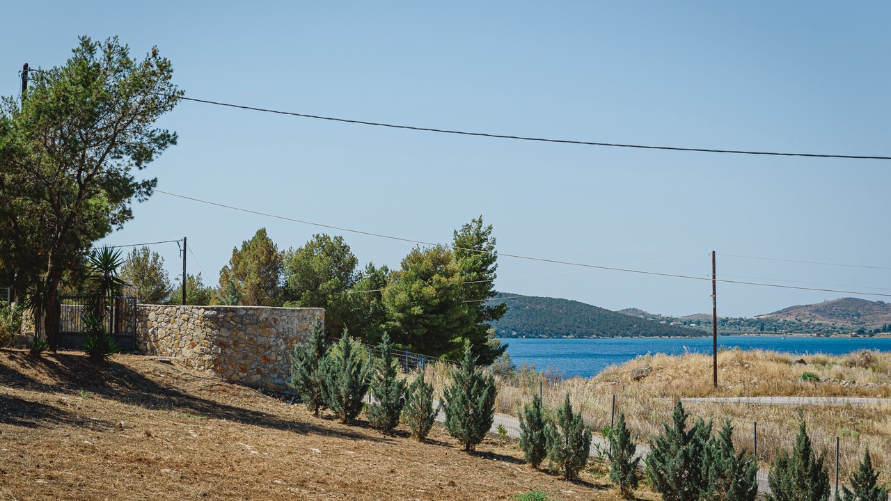 Photo of Others in Ermionida