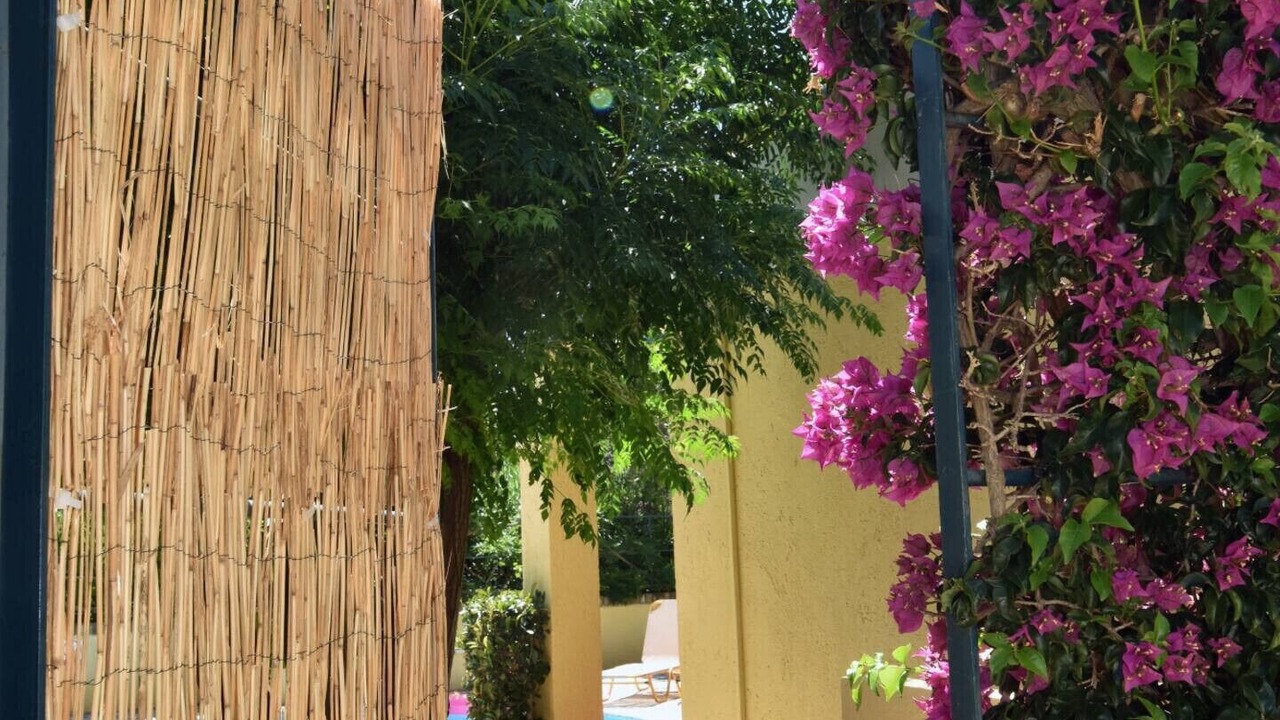 Photo of Outdoor in Barbati