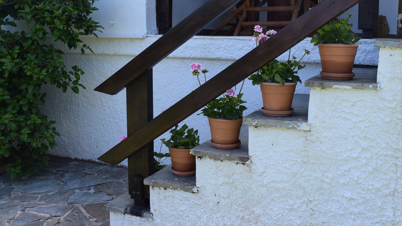 Photo of Outdoor in Nea Makri