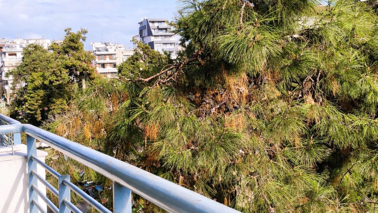 Photo of Outdoor in Kalamaria