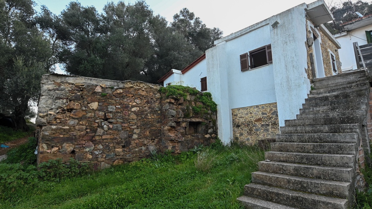Photo of Outdoor in Plemeniana