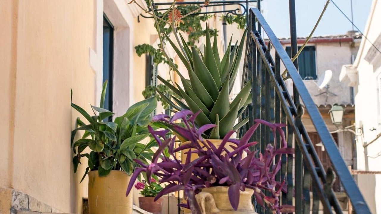 Photo of Outdoor in Chlomos