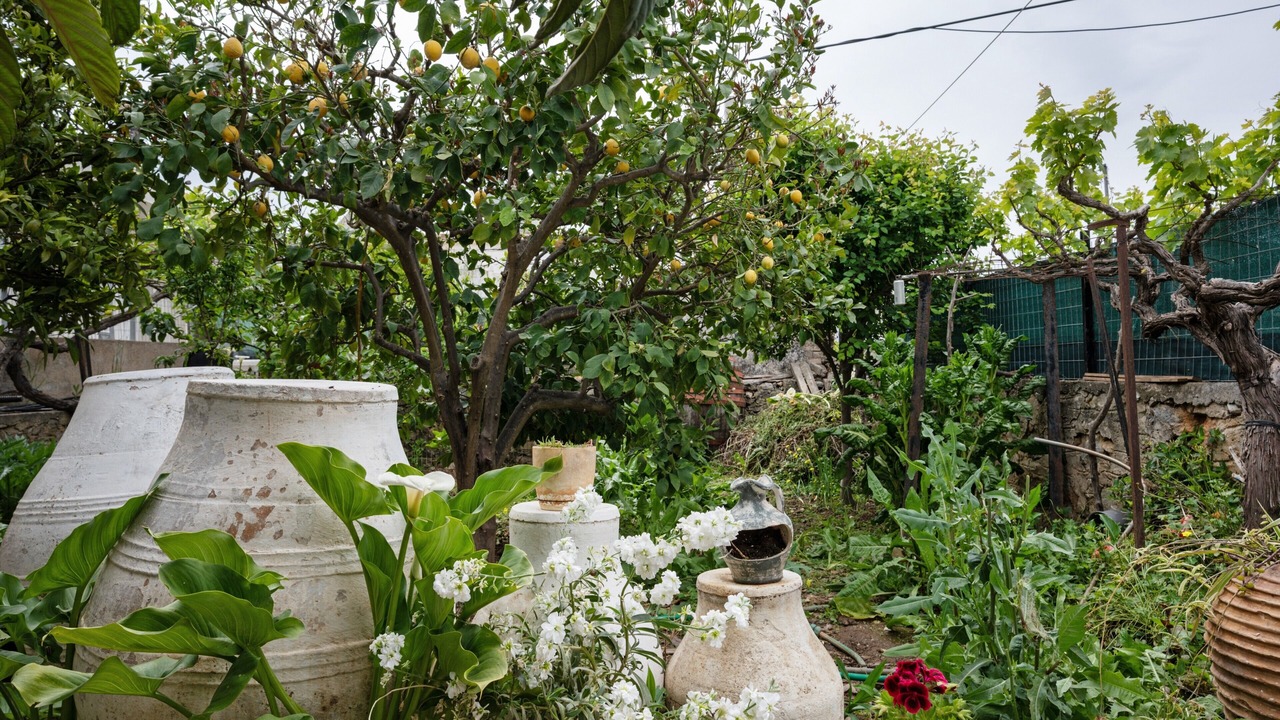 Photo of Outdoor in Mochos