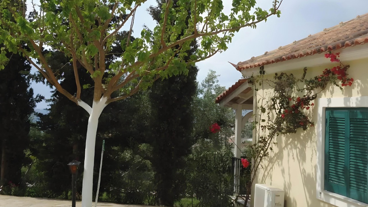 Photo of Outdoor in Foinikounta