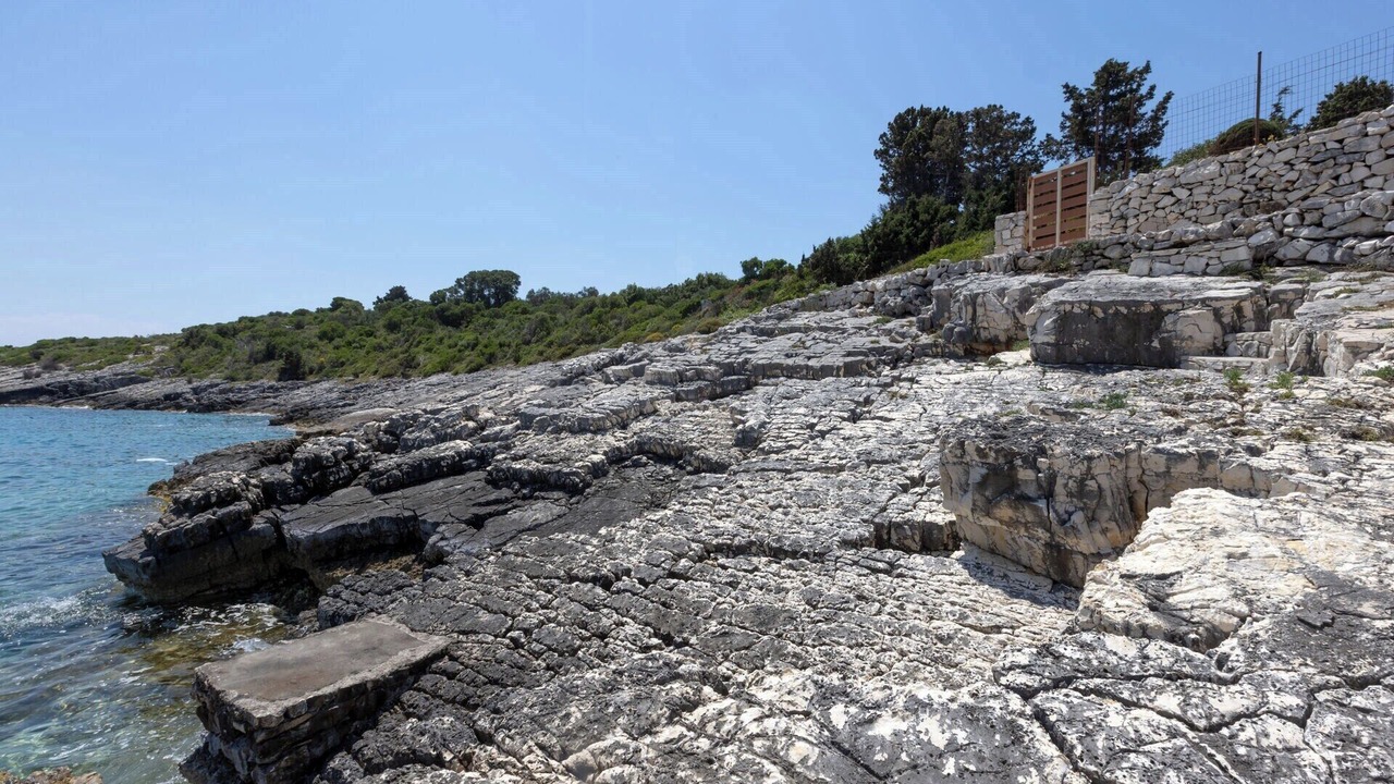 Photo of Others in Paxos
