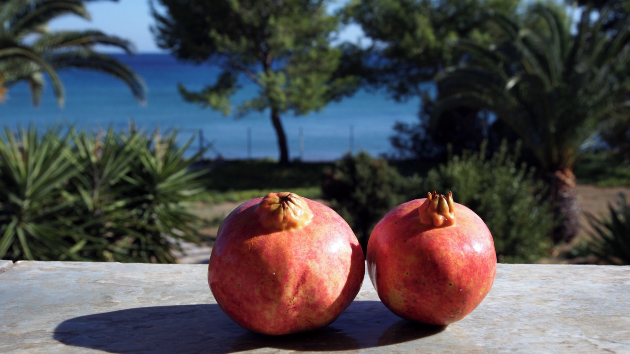 Photo of Others in Pylos-Nestoras