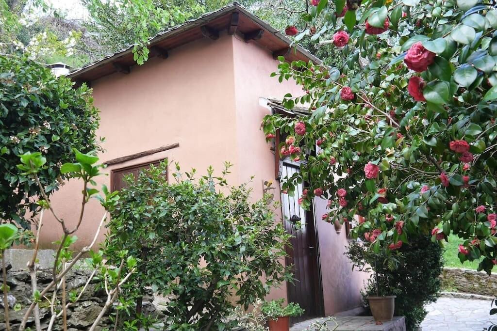 Photo of Outdoor in Zagora