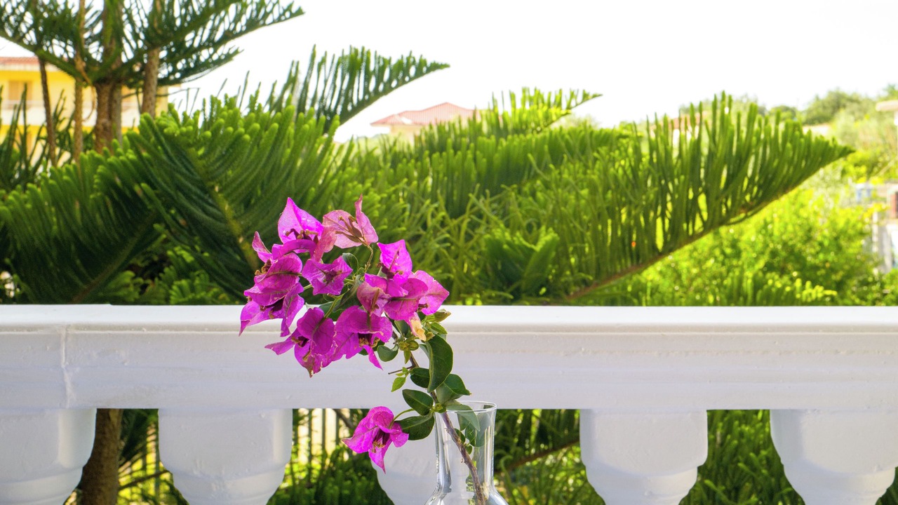 Photo of Outdoor in Tragjas