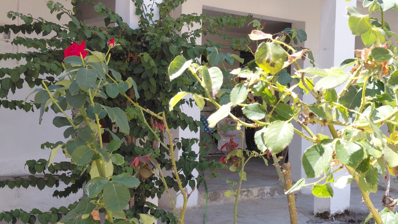 Photo of Outdoor in Termenades