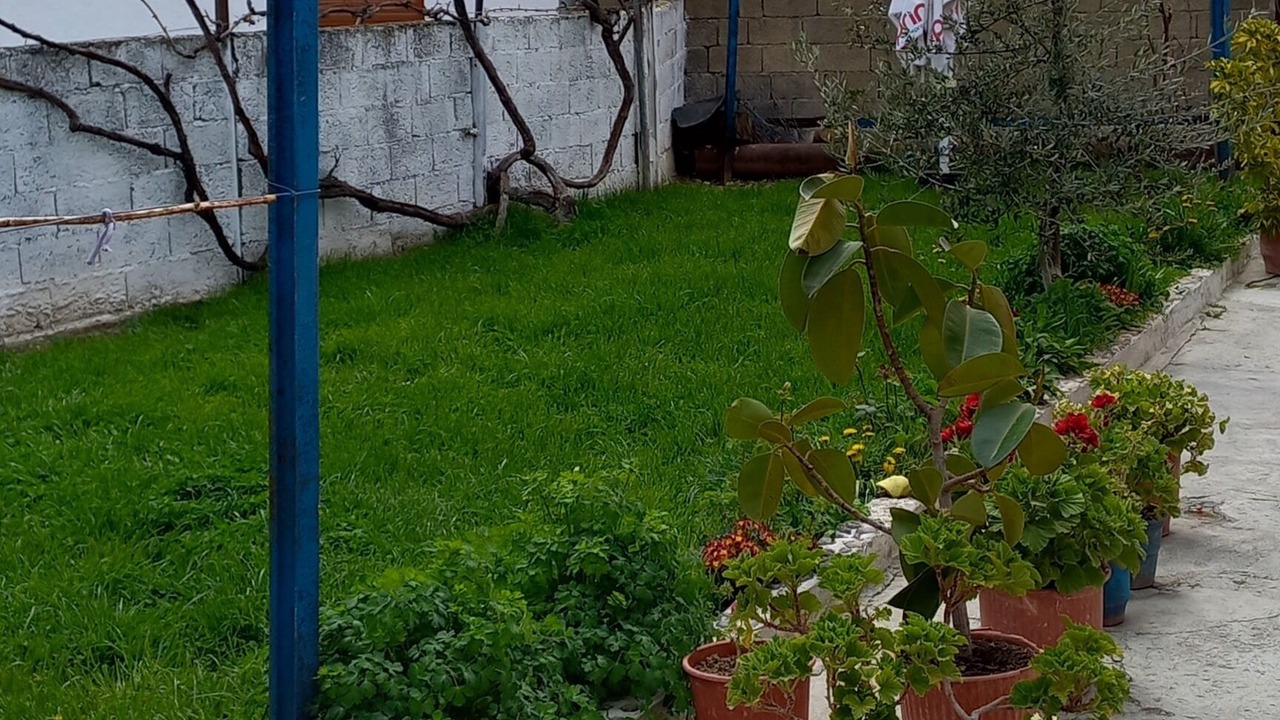 Photo of Outdoor in Udenisht