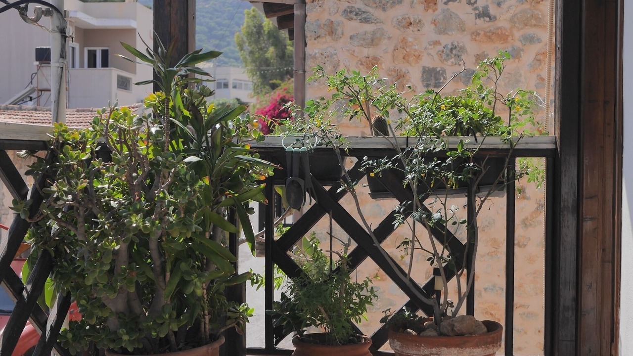Photo of Outdoor in Agios Nikolaos