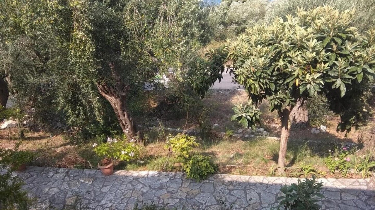 Photo of Outdoor in Benitses