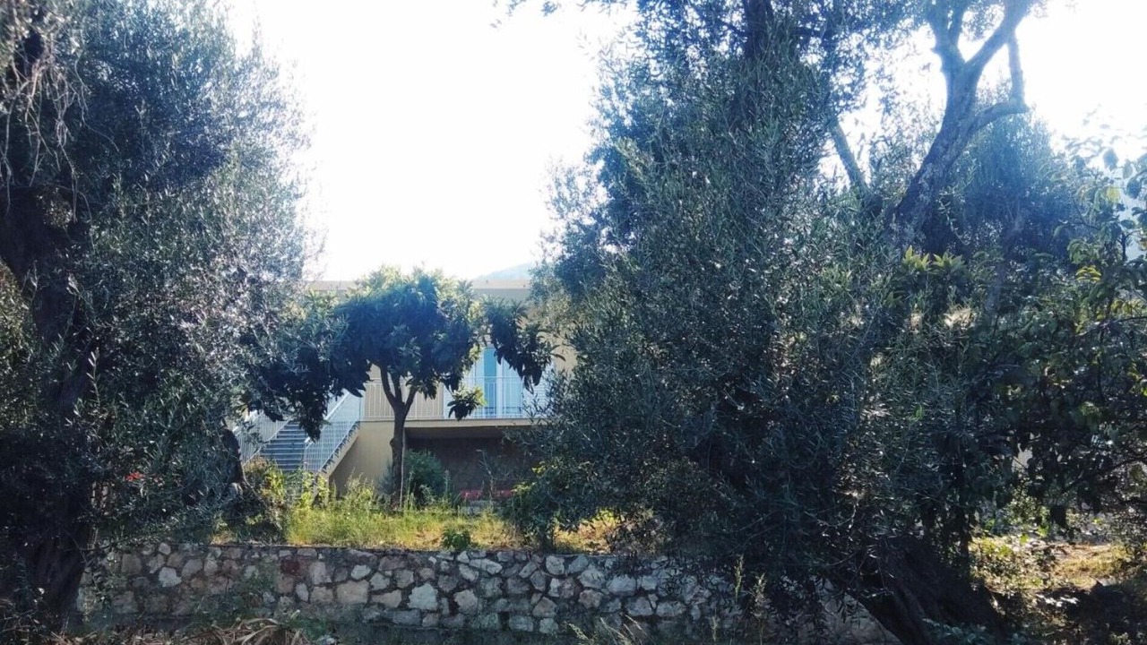 Photo of Outdoor in Benitses