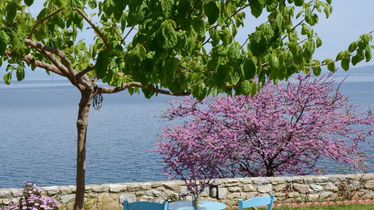 Photo of Outdoor in Sourpi