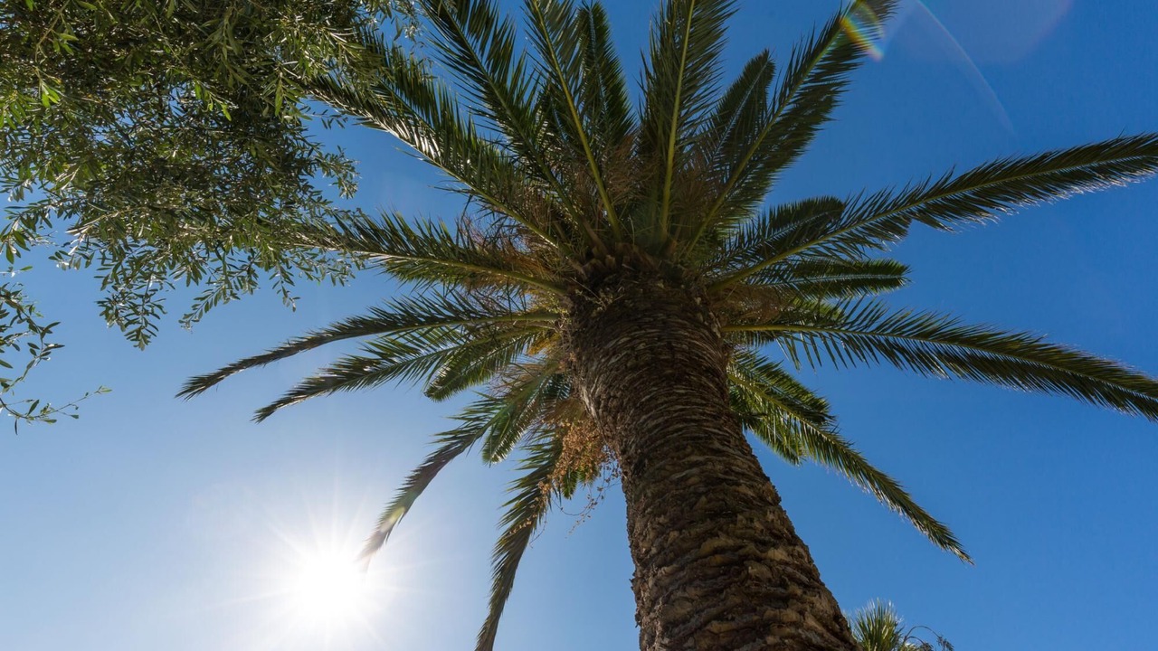 Photo of Outdoor in Almiros Beach