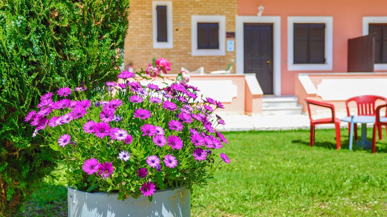 Photo of Outdoor in Almiros Beach