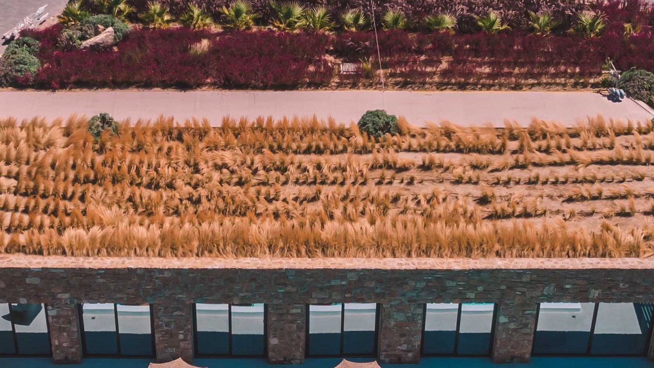 Photo of Outdoor in Ftelia