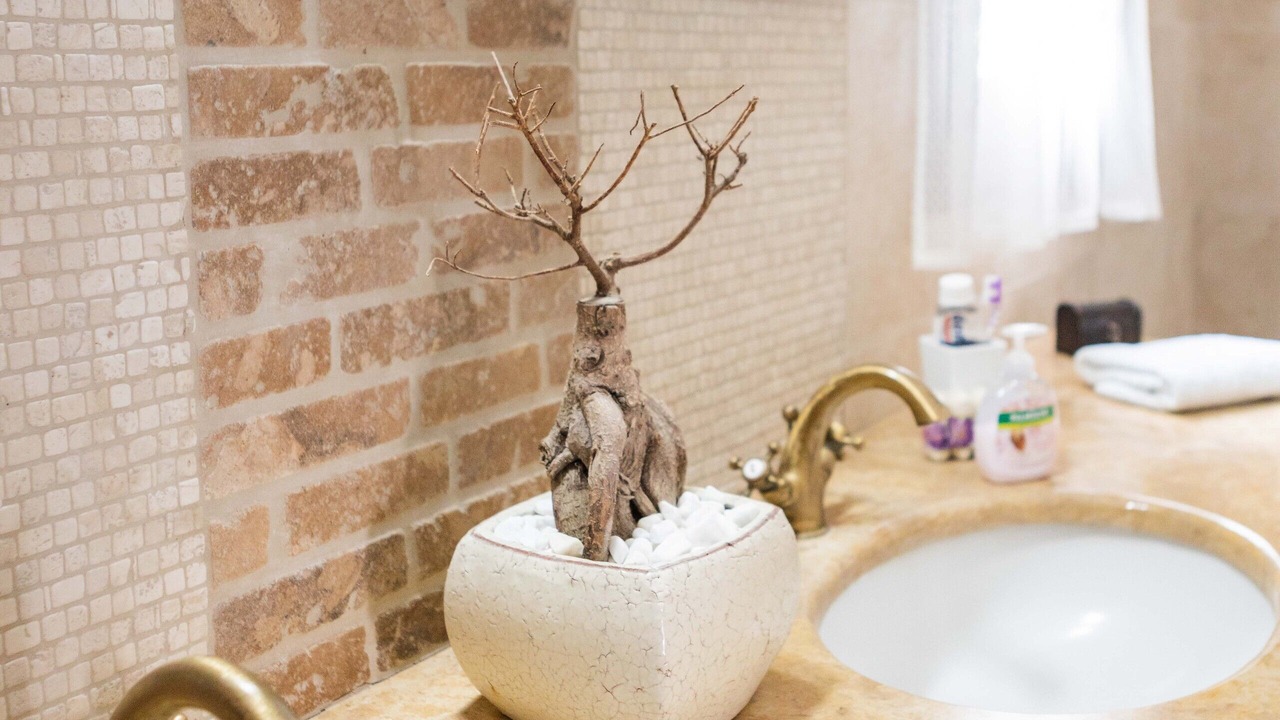 Photo of Bathroom in South Rhodes