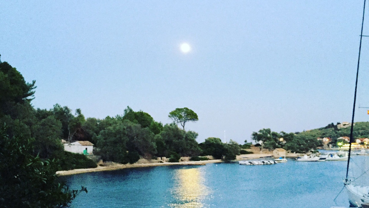 Photo of Others in Gaios