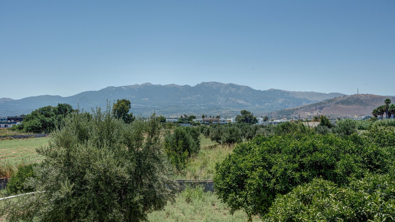 Photo of Others in Tingaki