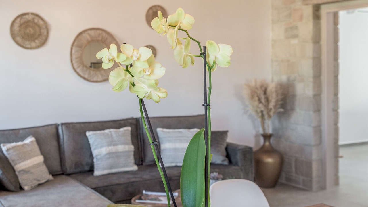 Photo of Livingroom in Adamas