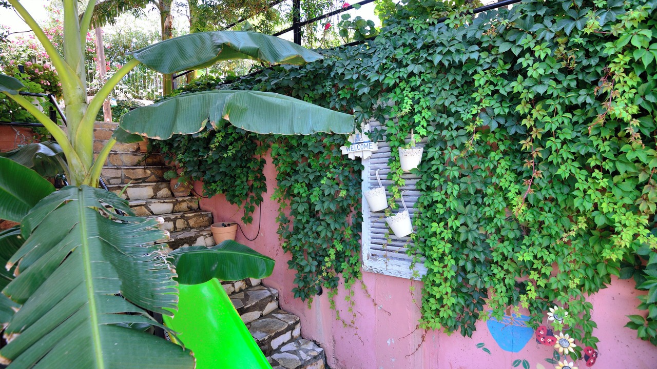 Photo of Outdoor in Parga