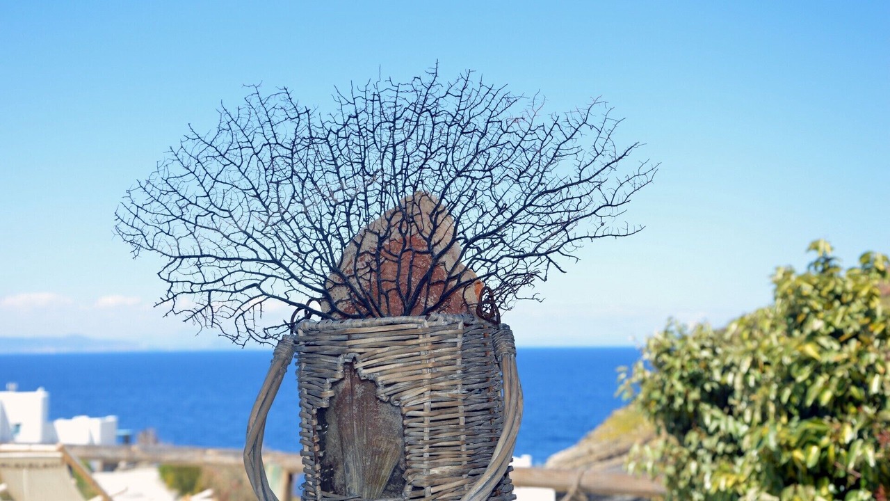 Photo of Outdoor in Kea