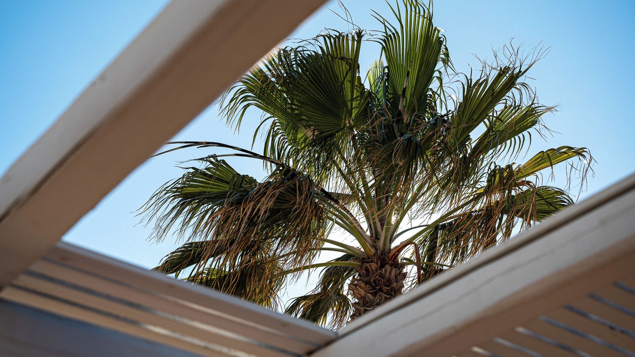 Photo of Others in Agios Ioannis