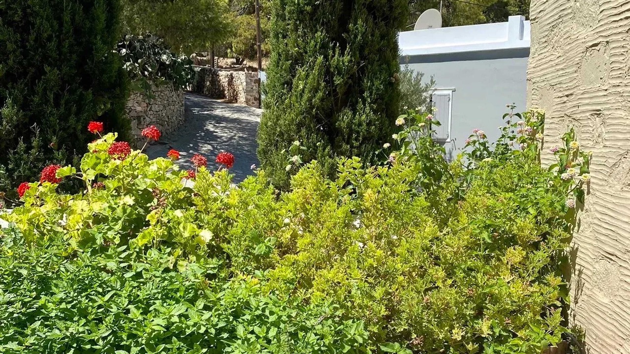 Photo of Others in Syros