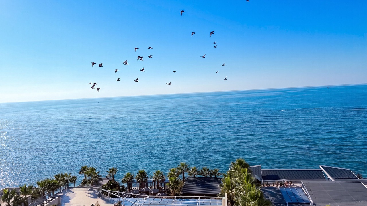 Photo of Others in Durres