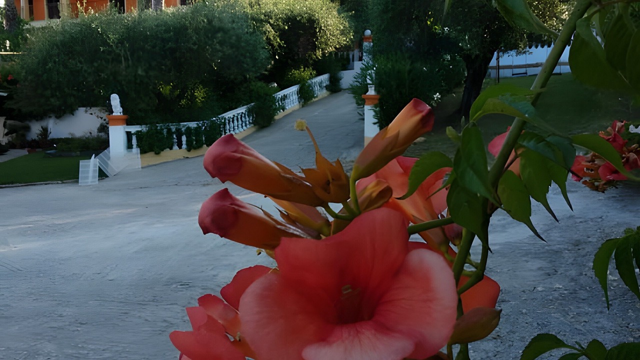 Photo of Outdoor in Marathias