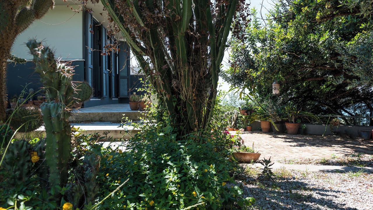 Photo of Outdoor in Halepa