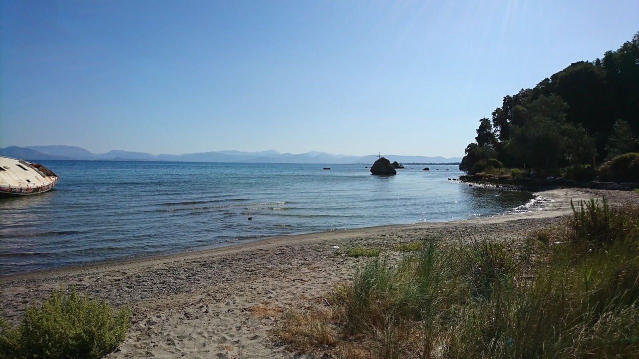 Photo of Others in Petriti