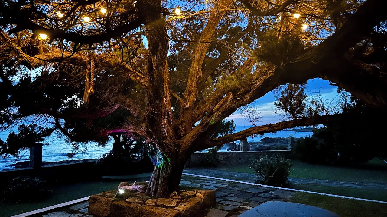 Photo of Outdoor in Pyrgos
