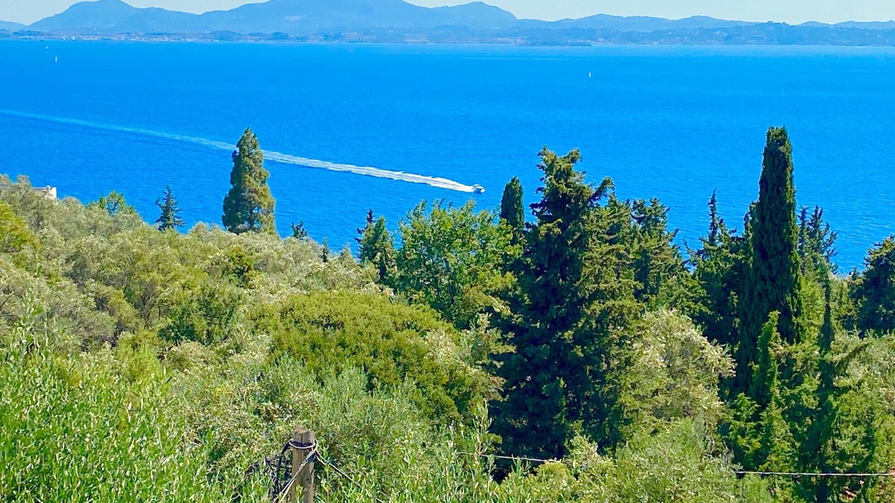 Photo of Others in Nisaki