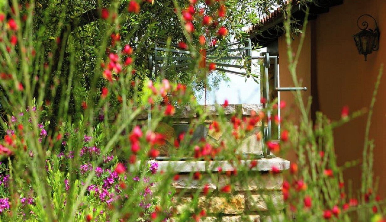 Photo of Outdoor in Agios Spyridon Corfu