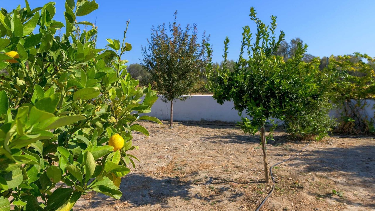 Photo of Outdoor in Archangelos
