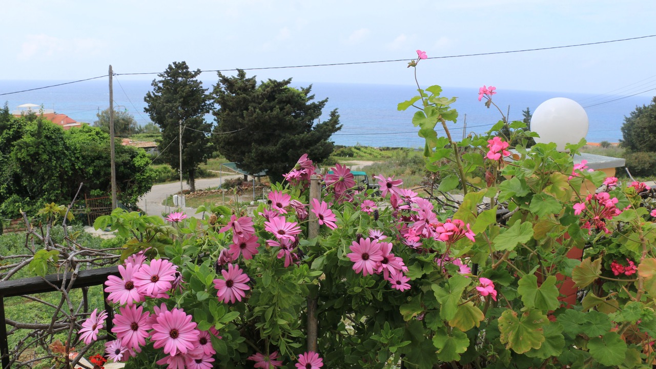Photo of Outdoor in Paramonas