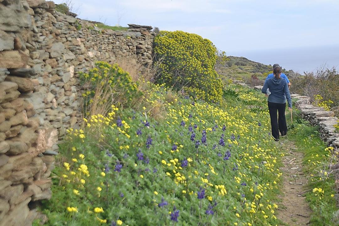 Photo of Outdoor in Platis Gialos