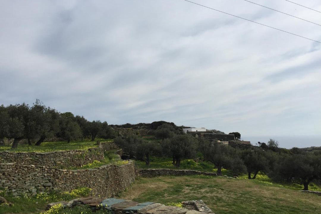 Photo of Outdoor in Platis Gialos
