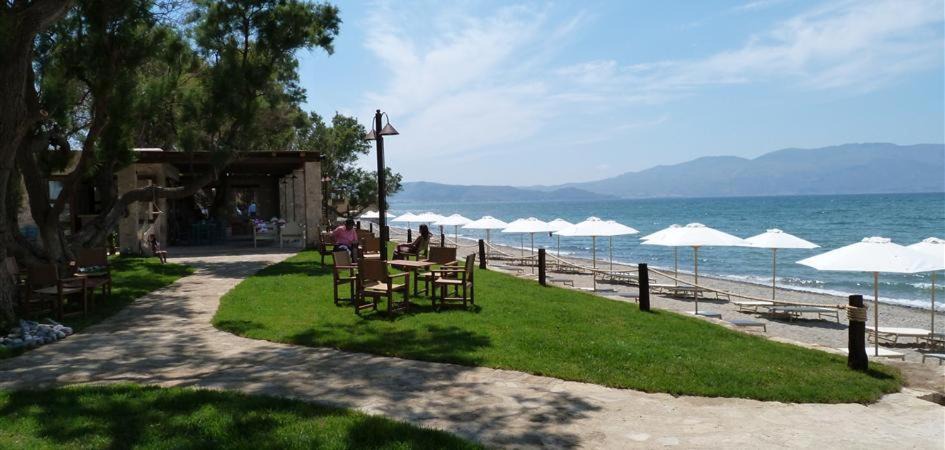Photo of Others in Nopigia