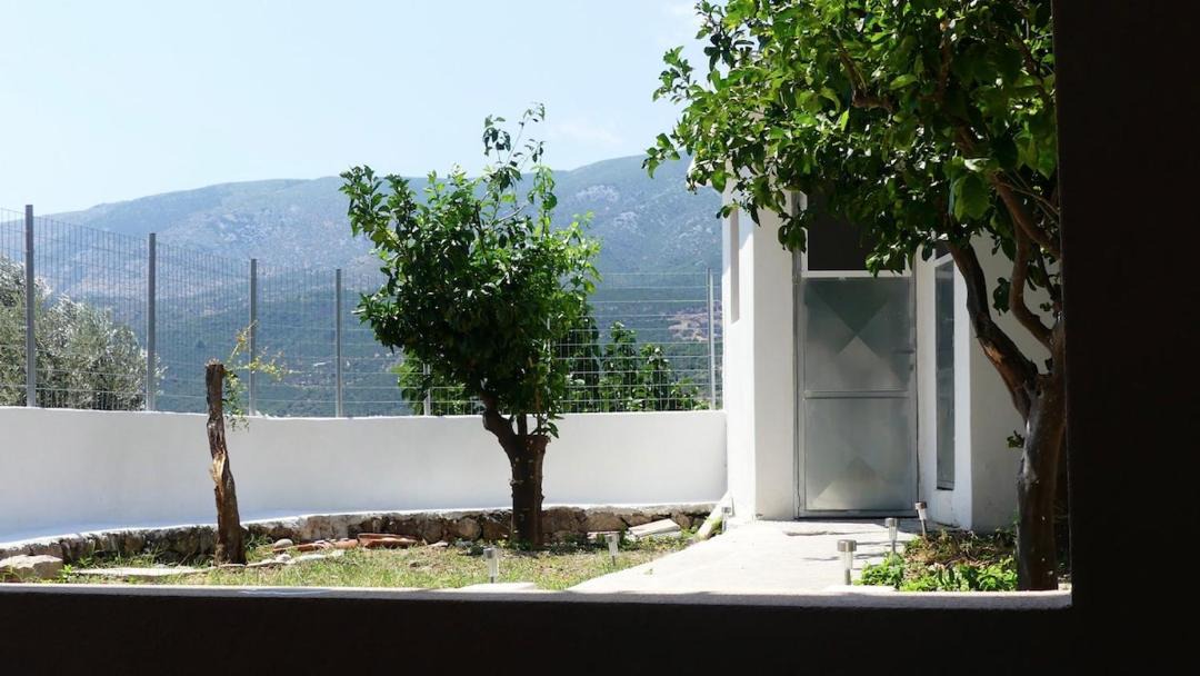 Photo of Others in Sipiada