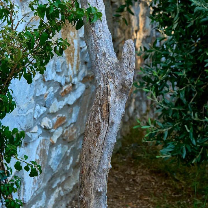 Photo of Others in Thasos