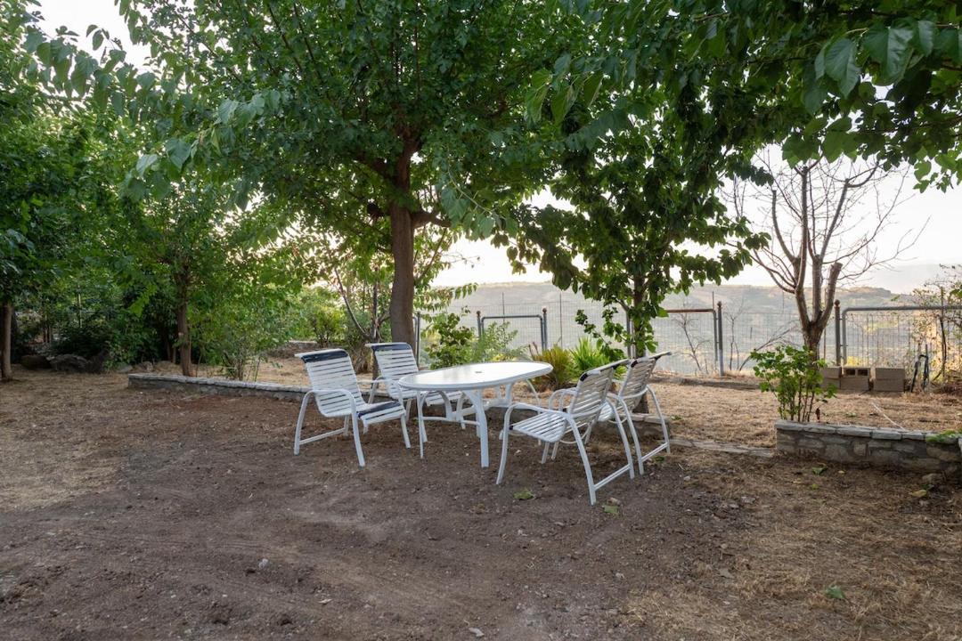 Photo of Others in Grigoris