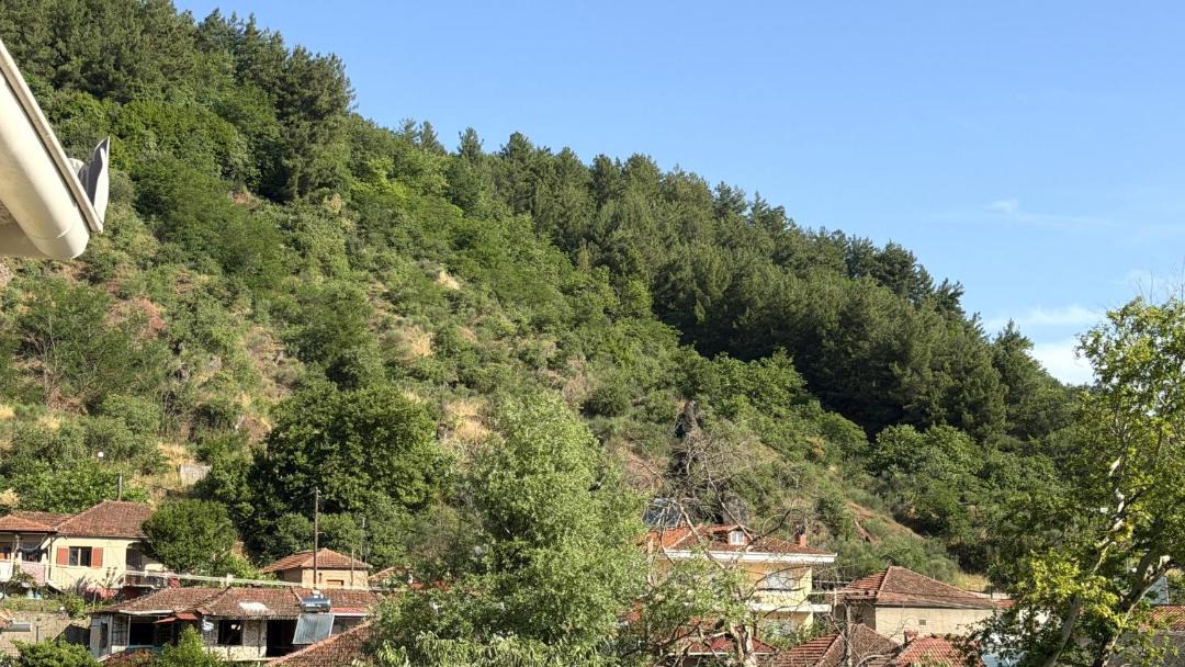 Photo of Others in Mavromati