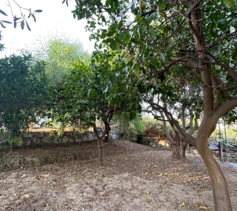 Photo of Others in Pylos-Nestoras