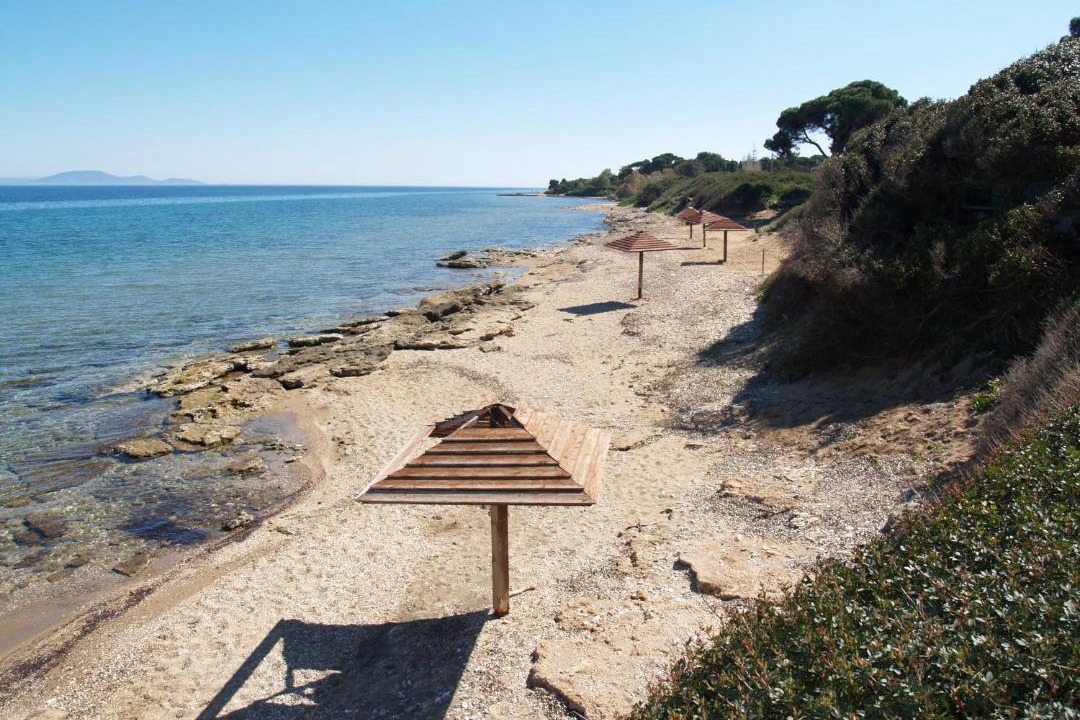 Photo of Others in Nea Makri